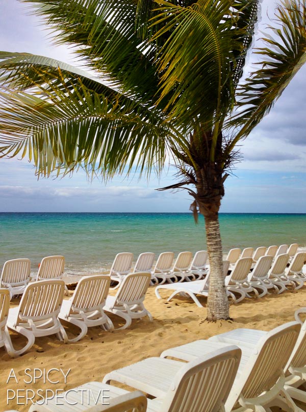 Things to do in Cozumel  Mexico - 4