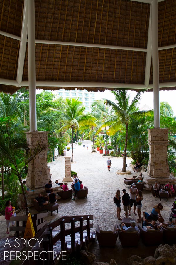 Things to do in Cozumel  Mexico - 66