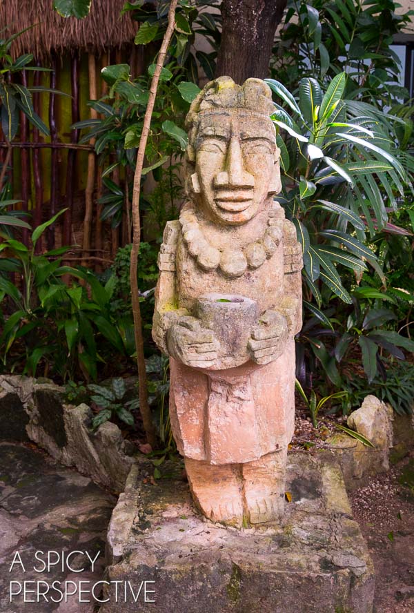 Things to do in Cozumel  Mexico - 98