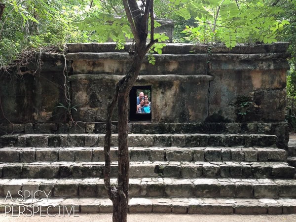 Things to do in Cozumel  Mexico - 91