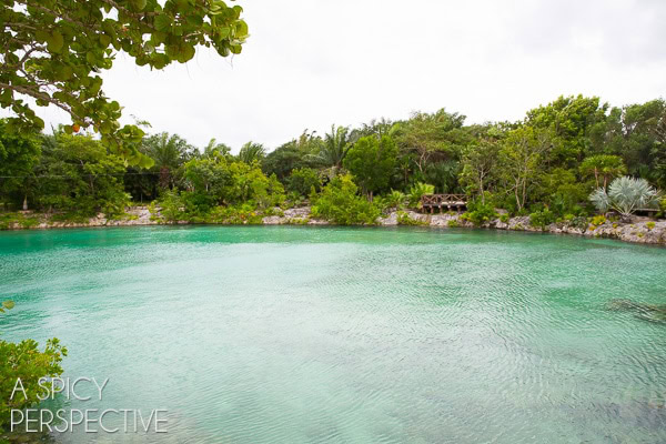Things to do in Cozumel  Mexico - 12