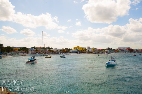 Things to do in Cozumel  Mexico - 34