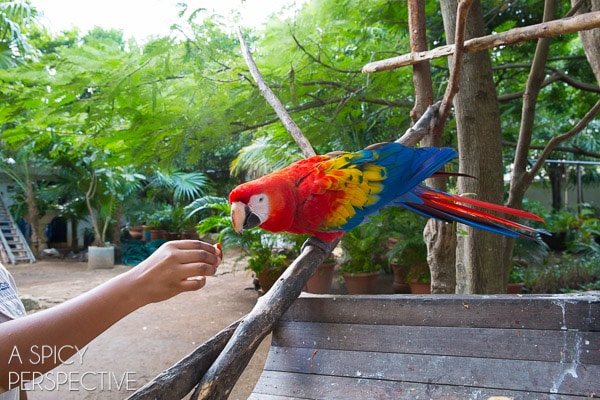 Are All Inclusive Resorts for You  - 70