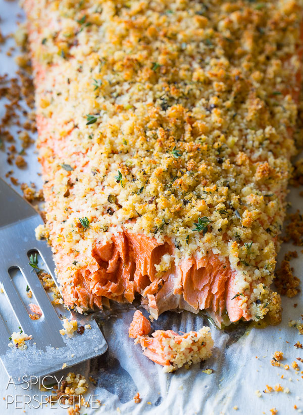 Oven Baked Salmon Recipe With Parmesan Crust A Spicy Perspective