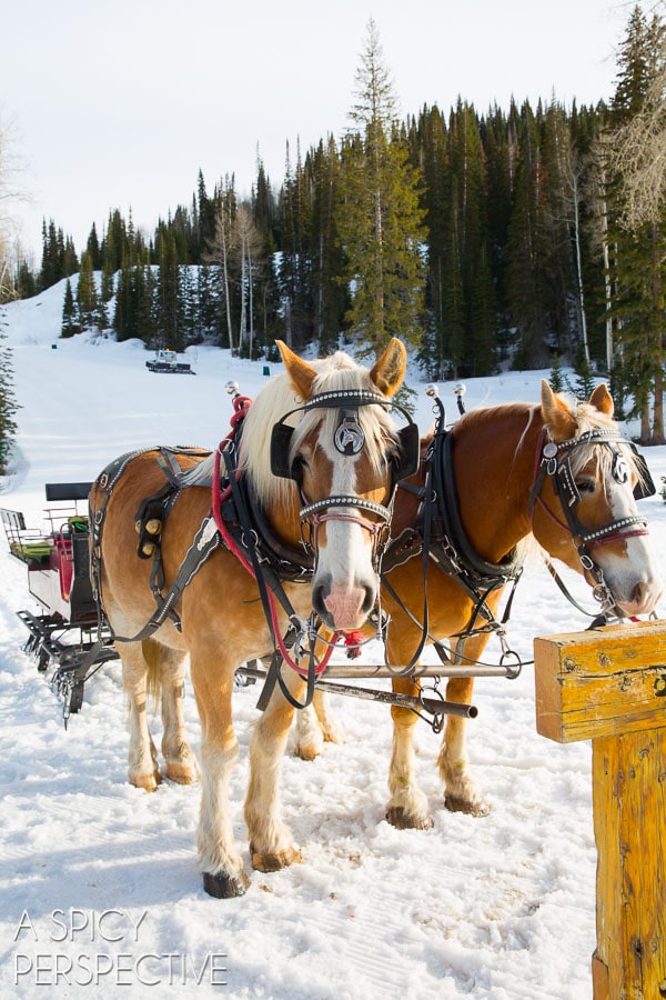 Restaurants in Park City Utah - 58