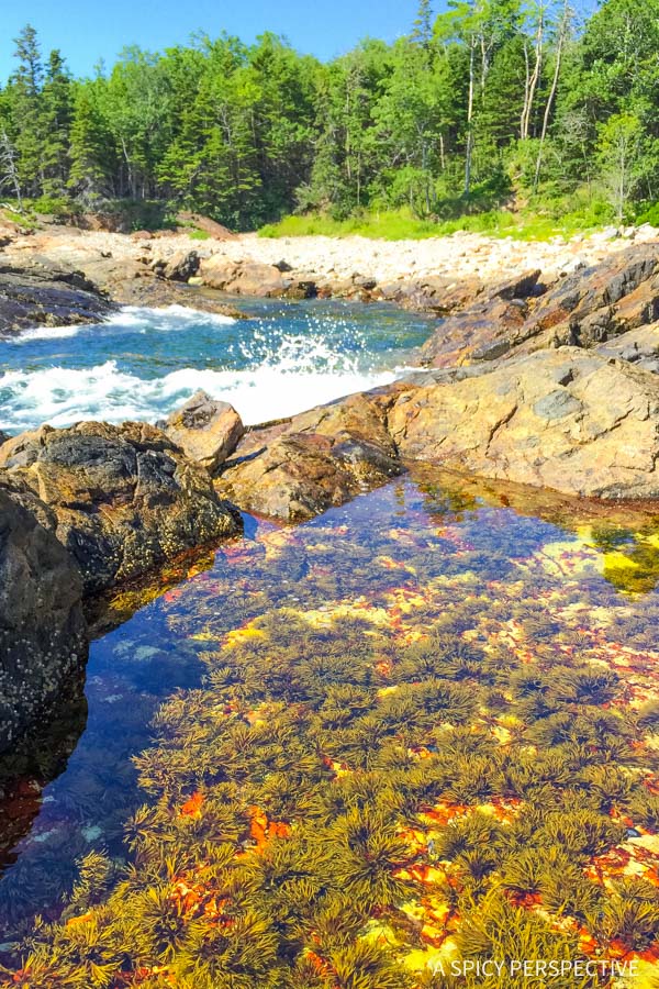One Day in Acadia National Park - 12