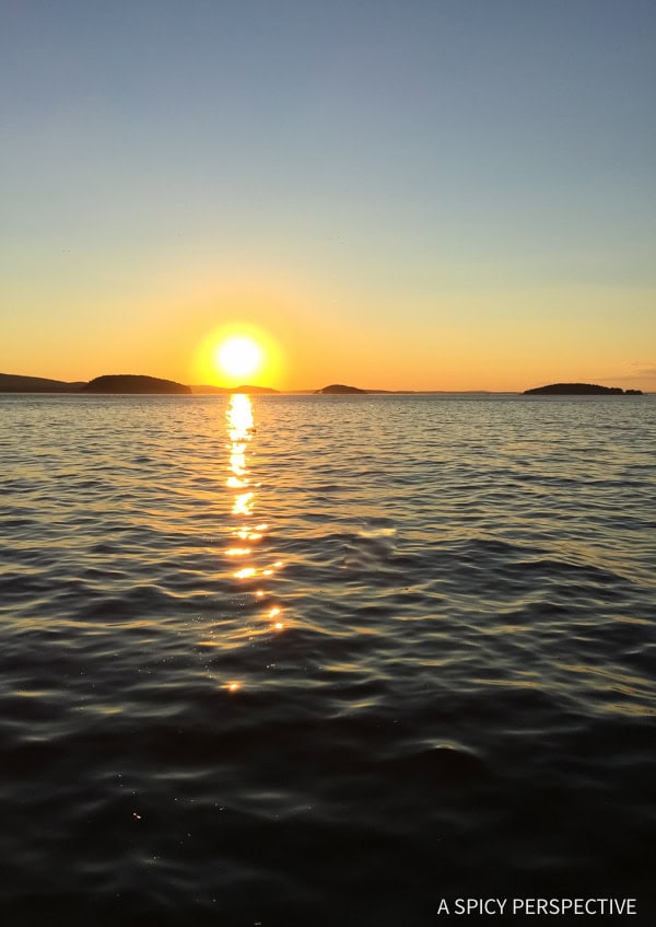 One Day in Acadia National Park - 76