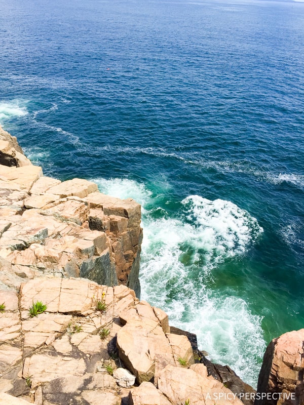 One Day in Acadia National Park - 79