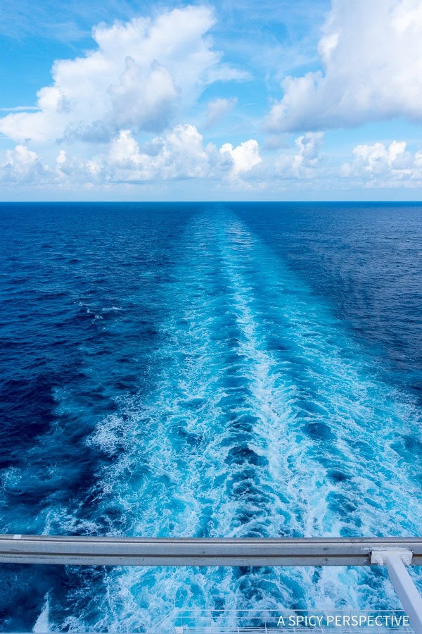 Cruising for Foodies - 57