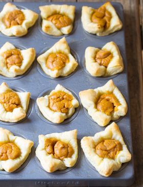 The Best Mini Pumpkin Pies EVER on ASpicyPerspective.com!