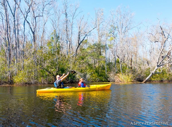 Amelia Island Restaurants  And Travel Tips   - 62