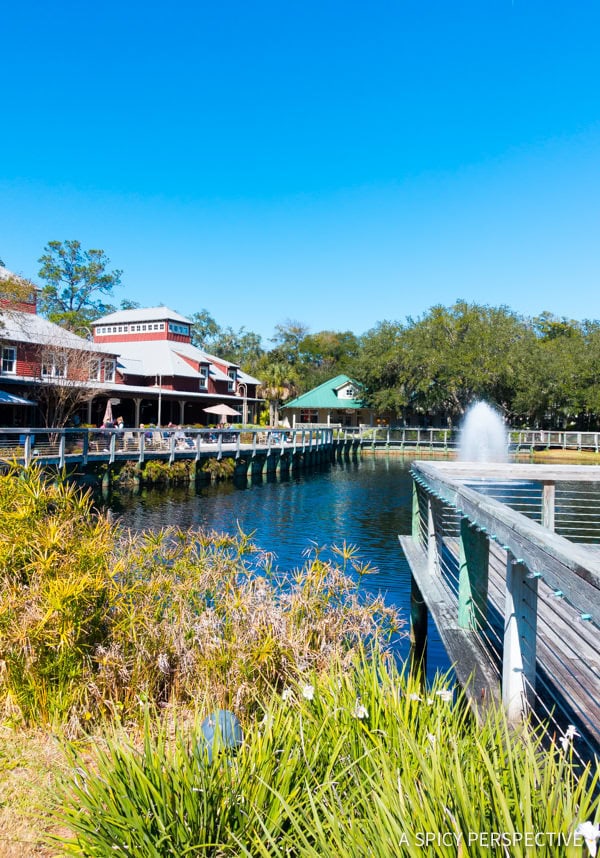 Amelia Island Restaurants  And Travel Tips   - 41