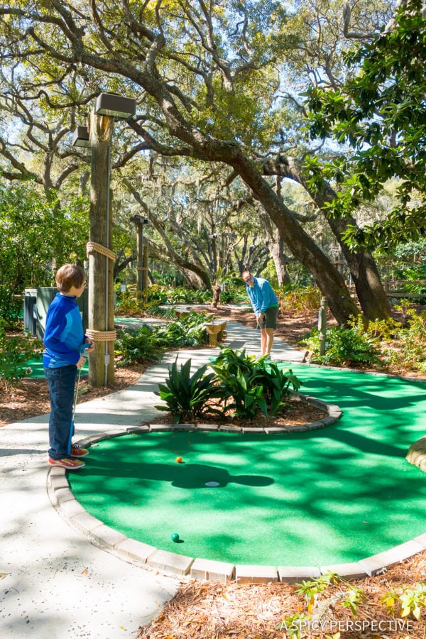 Amelia Island Restaurants  And Travel Tips   - 38