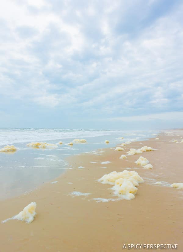 Amelia Island Restaurants  And Travel Tips   - 23