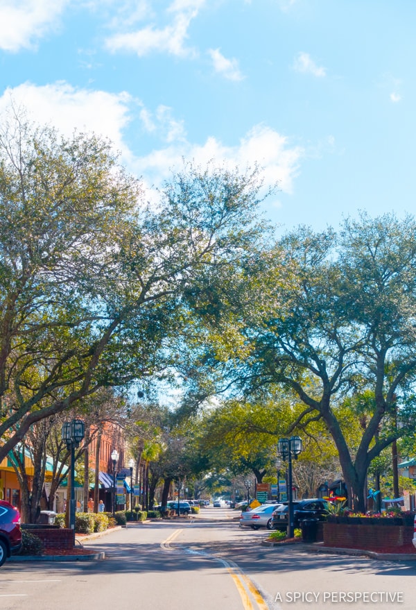 Amelia Island Restaurants  And Travel Tips   - 35