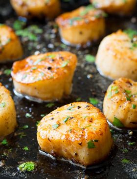 5-Ingredient Easy Scallop Scampi Recipe | ASpicyPerspective.com