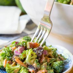 The Best Broccoli Salad Recipe Ever | ASpicyPerspective.com