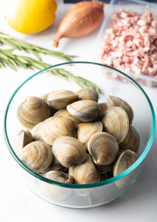 Vongole - 5