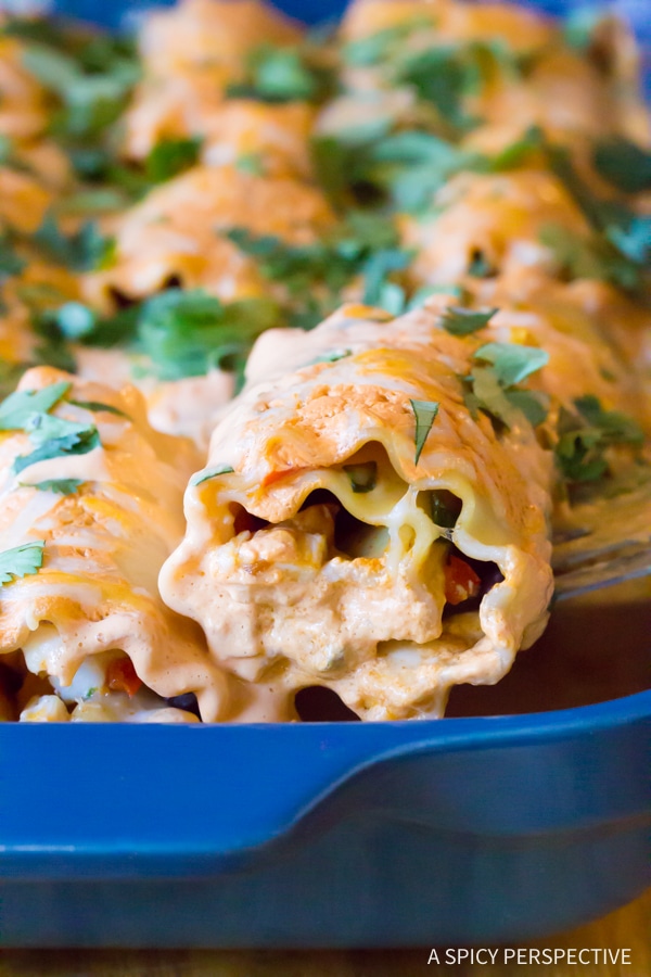 Cheesy Southwest Chicken Lasagna Rolls A Spicy Perspective