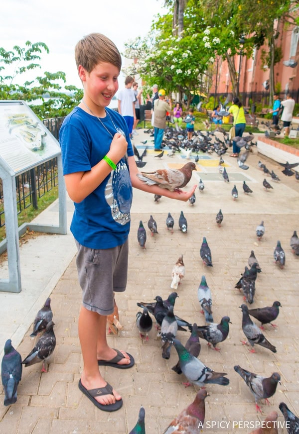Cruising with Kids  The Perfect Family Vacation - 83