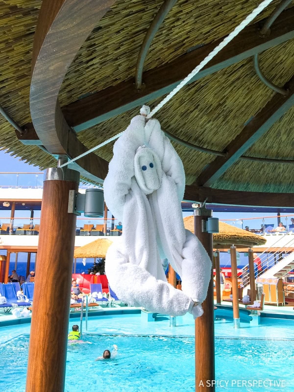 Cruising with Kids  The Perfect Family Vacation - 85