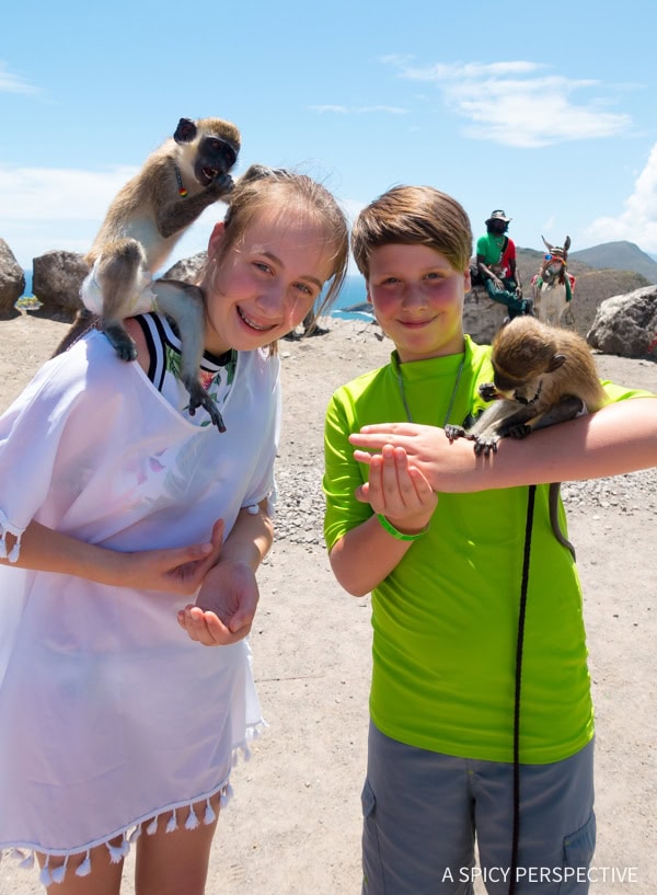 Cruising with Kids  The Perfect Family Vacation - 30