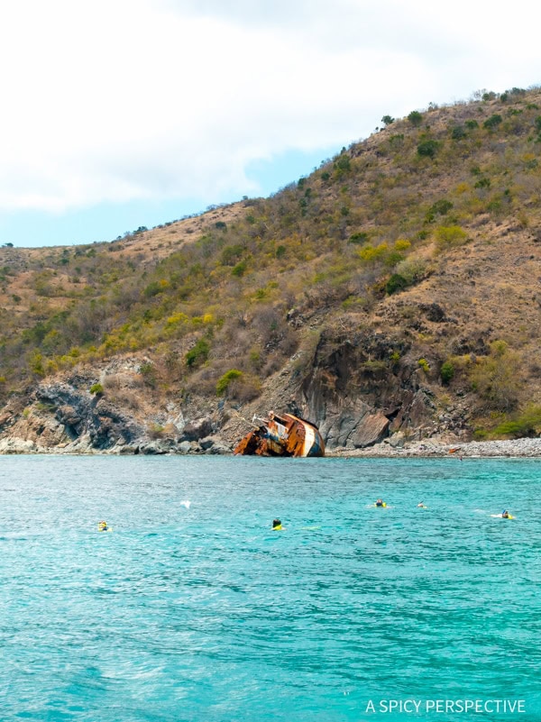 Cruising with Kids  The Perfect Family Vacation - 14