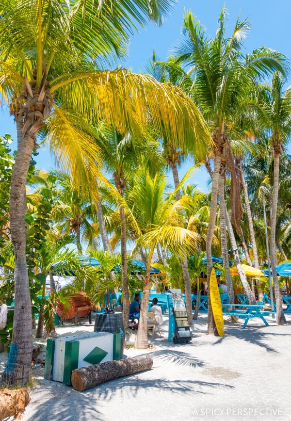 Cruising with Kids  The Perfect Family Vacation - 40