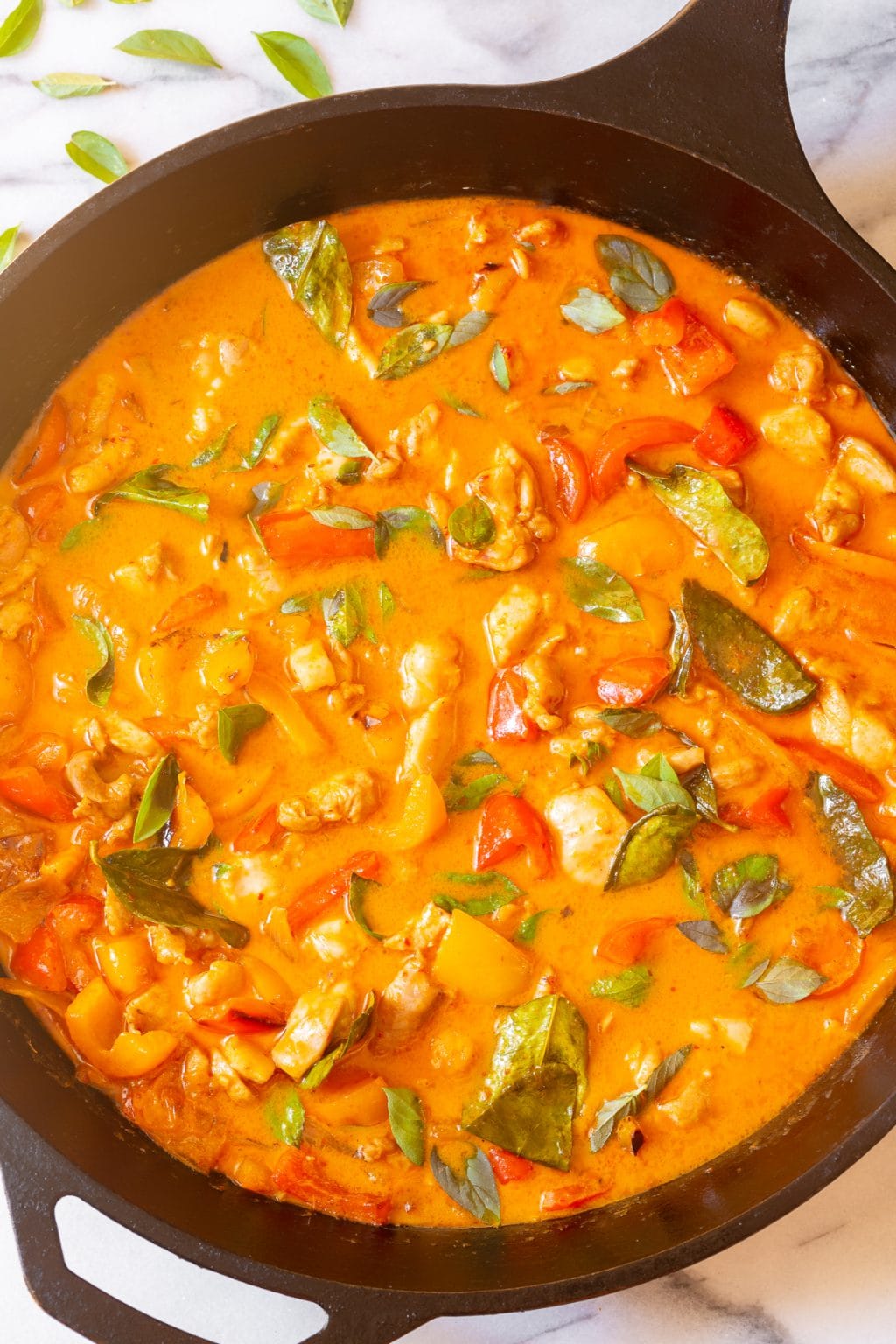 The Best Thai Panang Chicken Curry (VIDEO) - A Spicy Perspective