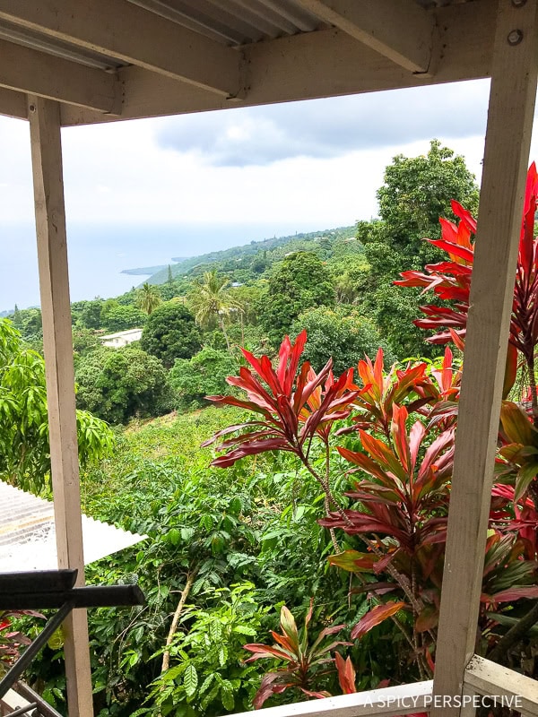 Hawaii Bucket List  Things To Do On The Big Island Of Hawaii - 49