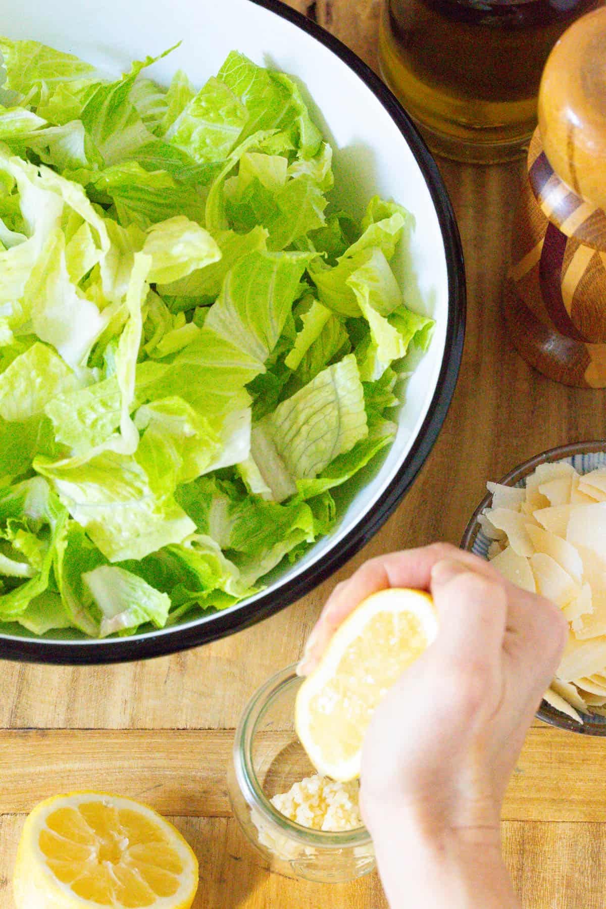 Chopped lettuce in  bowl. 