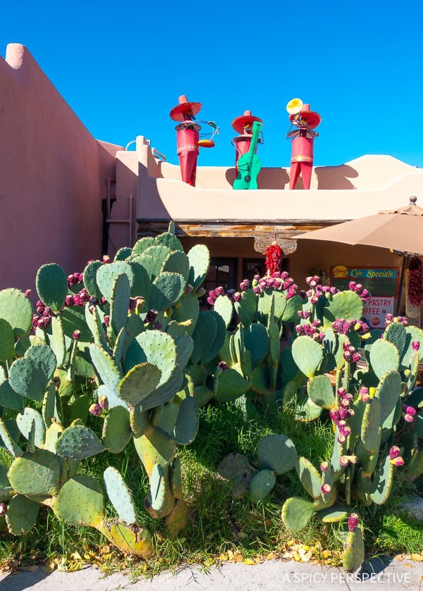 The Ultimate Mother Daughter Trip to Albuquerque New Mexico - 64