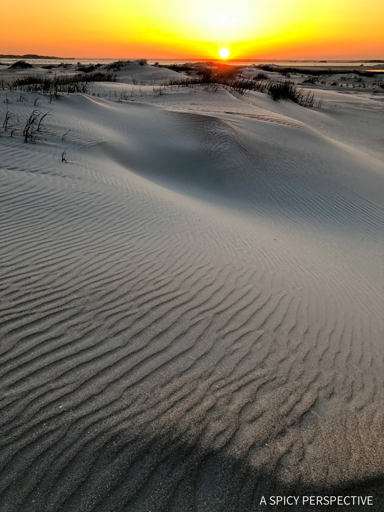 Crystal Coast Outer Banks NC Vacation Tips - 88