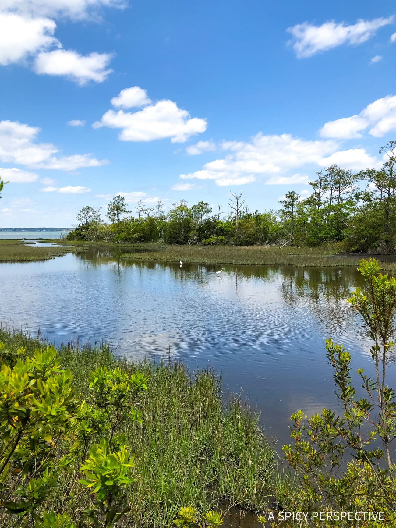 Crystal Coast Outer Banks NC Vacation Tips - 71