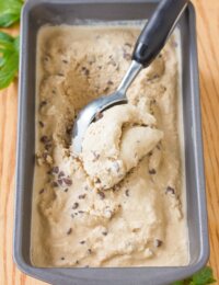 No-Churn Mocha Mint Chip Vegan Ice Cream Recipe