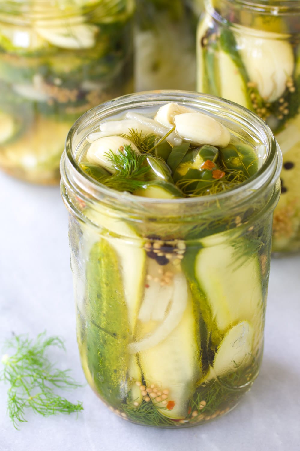 Ingredients in Jar #ASpicyPerspective #Pickles #RefrigeratorPickles #HomemadePickles #PickleRecipe #HowtoMakePickles