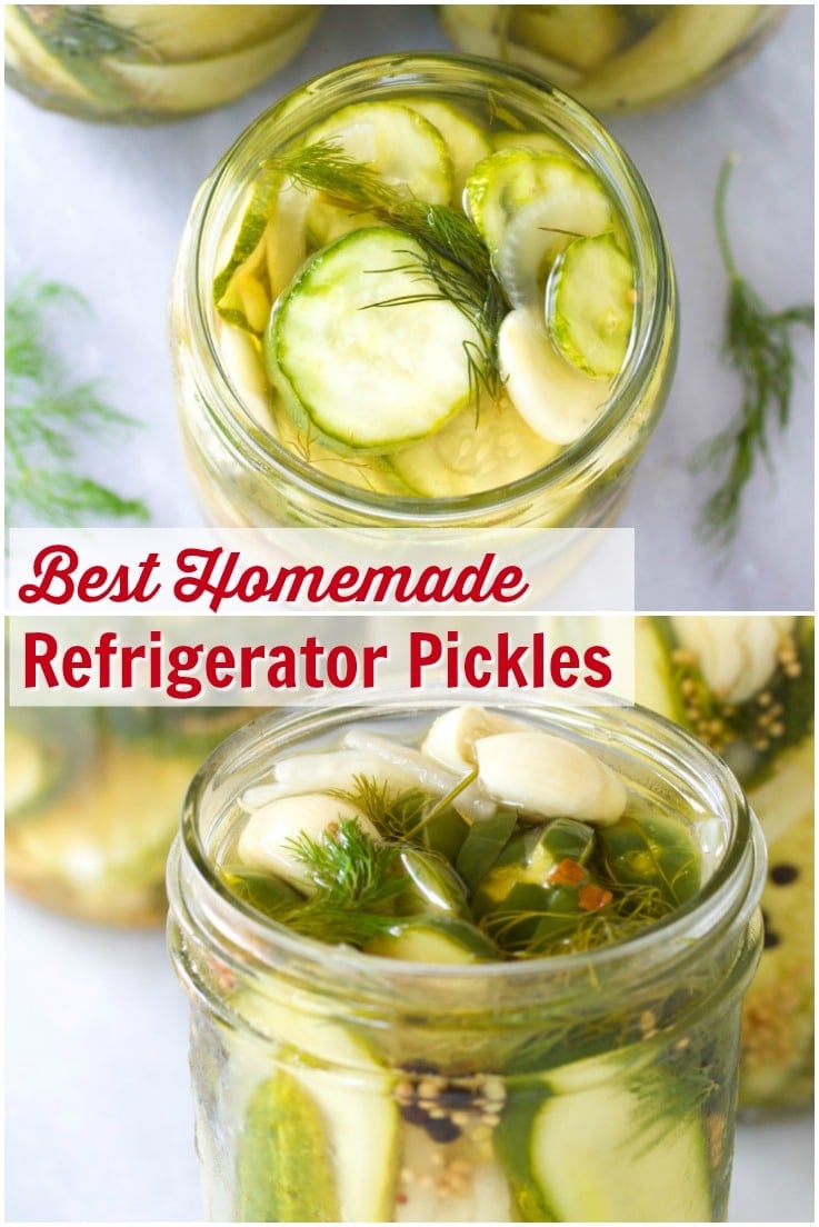 Homemade Refrigerator Pickles A Spicy Perspective