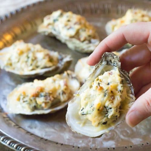 Three Cheese Baked Oysters Recipe A Spicy Perspective