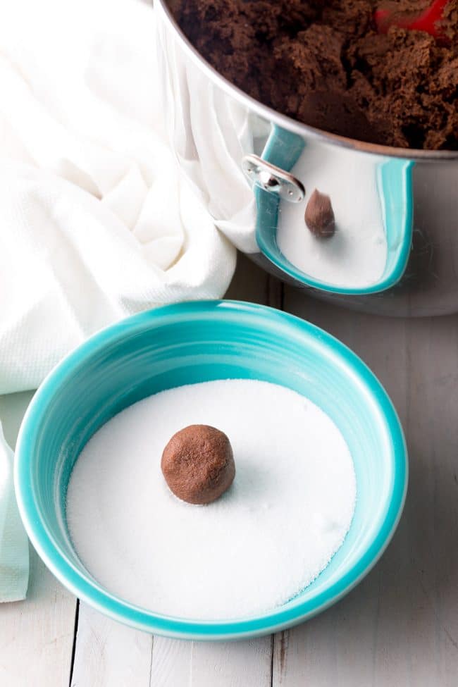 Making The Best Chocolate Sugar Cookies Recipe #ASpicyPerspective #cookies #chocolate #easter #spring #holiday