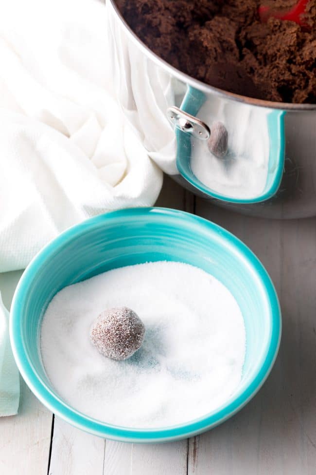 Making Chocolate Sugar Cookies Recipe #ASpicyPerspective #cookies #chocolate #easter #spring #holiday