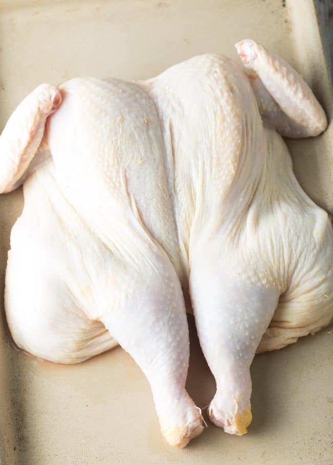 Step 3 - How To Spatchcock Chicken In 3 Steps (+ Garlic Herb Roast Chicken Recipe) #ASpicyPerspective #spatchcock #chicken