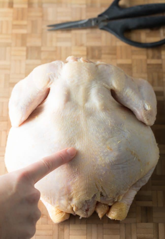 Step One: How To Spatchcock Chicken In 3 Steps (+ Garlic Herb Roast Chicken Recipe) #ASpicyPerspective #spatchcock #chicken