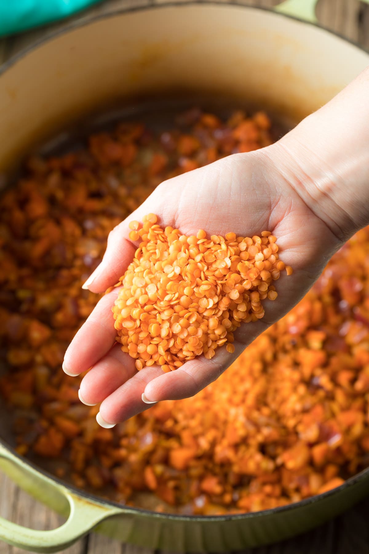Hand holding palmful of dry red lentils.