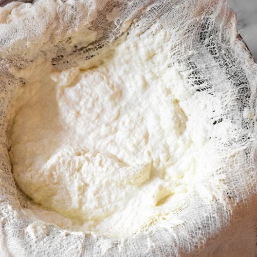 How To Make Ricotta Cheese (VIDEO) A Spicy Perspective