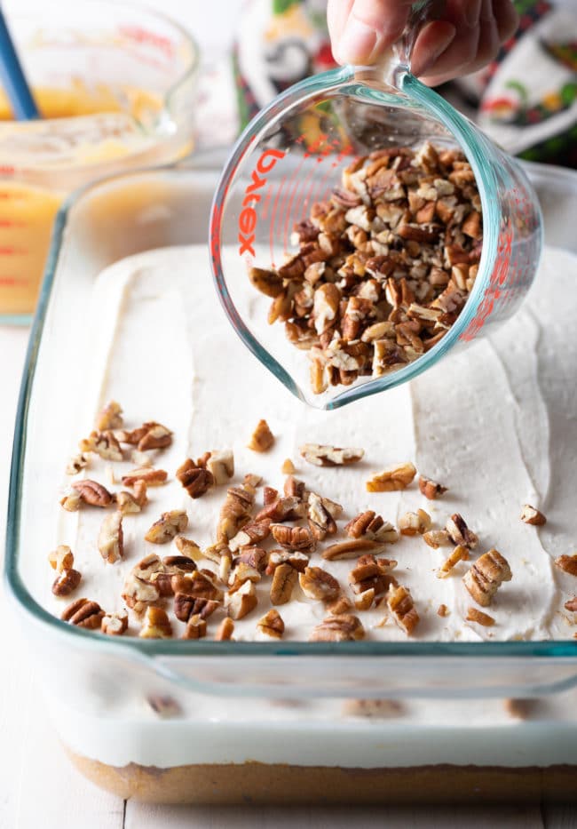 Layered Pumpkin Turtle Cheesecake - 13