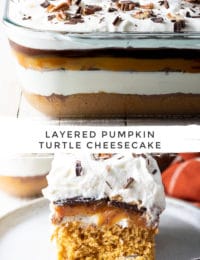 Layered Pumpkin Turtle Cheesecake - 84