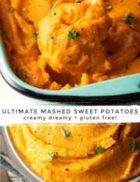 The Best Mashed Sweet Potatoes Recipe #ASpicyPerspective #thanksgiving #holiday #glutenfree #sidedish #sweet #potato