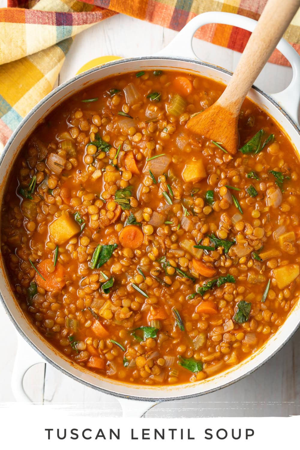 Tuscan Lentil Soup Recipe Recipe (VIDEO) A Spicy Perspective