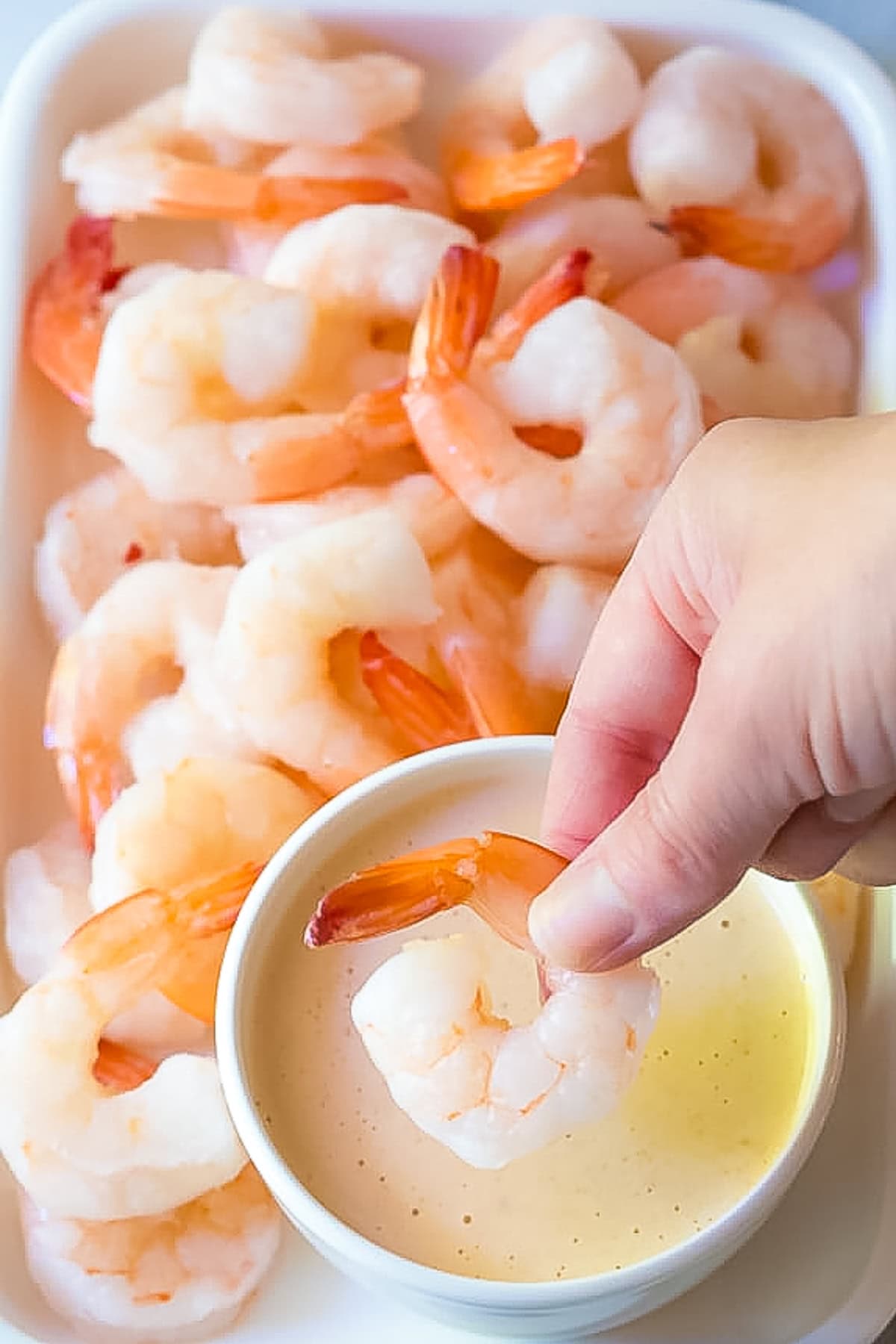 Homemade Yum Yum Sauce Recipe A Spicy Perspective