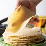 Homemade Corn Tortillas Recipe